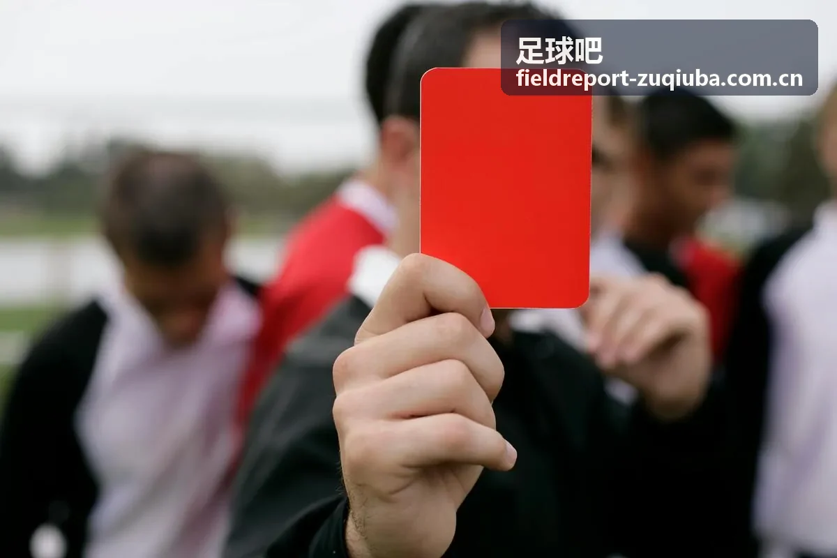 足球吧新球迷入门陪看计划